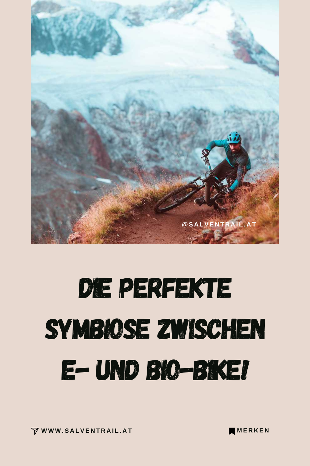 Flex & Light Bikes - die perfekte Symbiose zwischen E- und Bio-Bike!