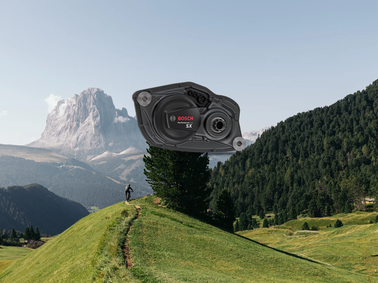 BOSCH Performance Line SX