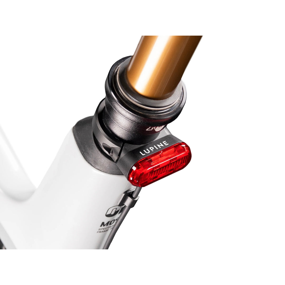 LUPINE C14 SP Rücklicht für E-Bikes