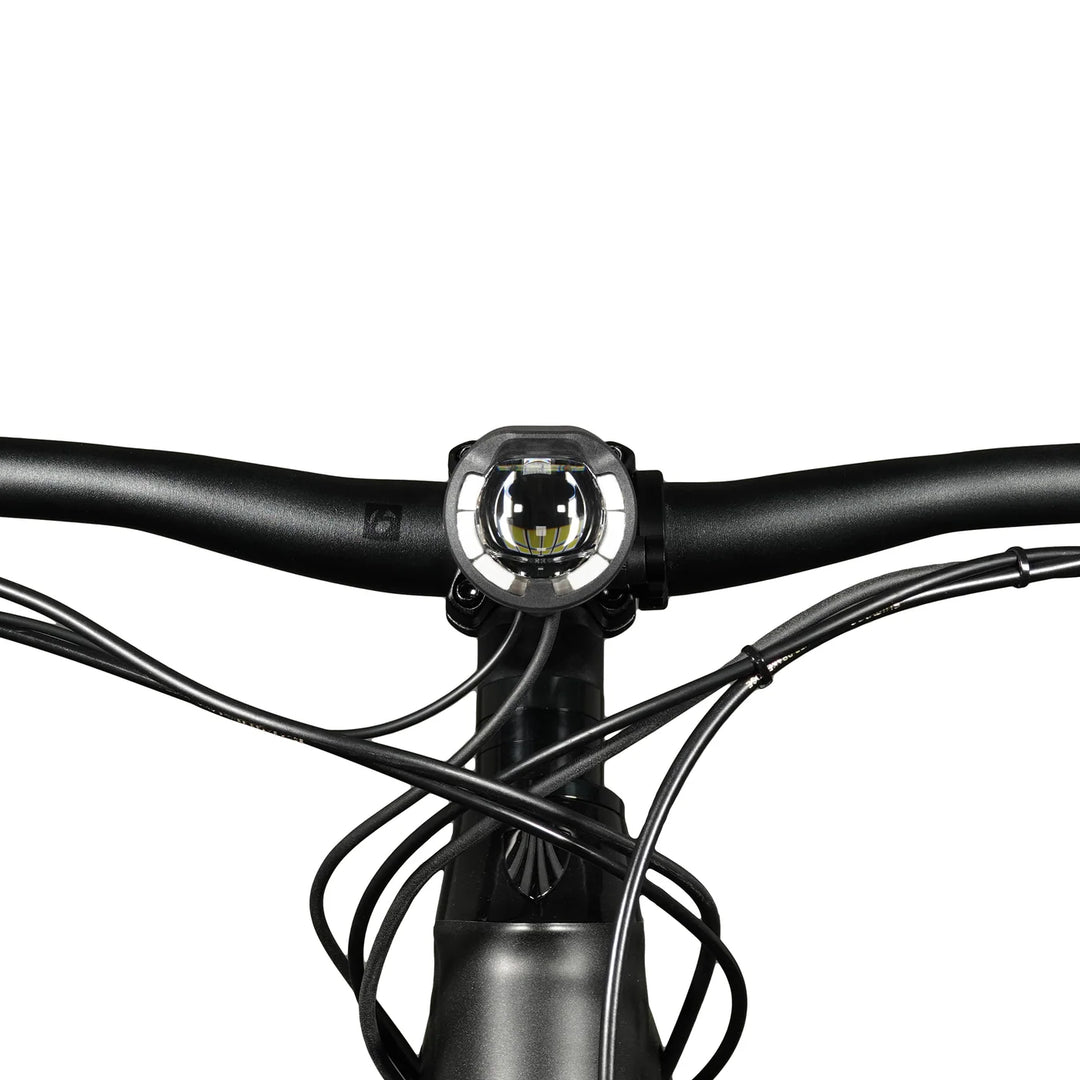 LUPINE SL F für E-Bikes