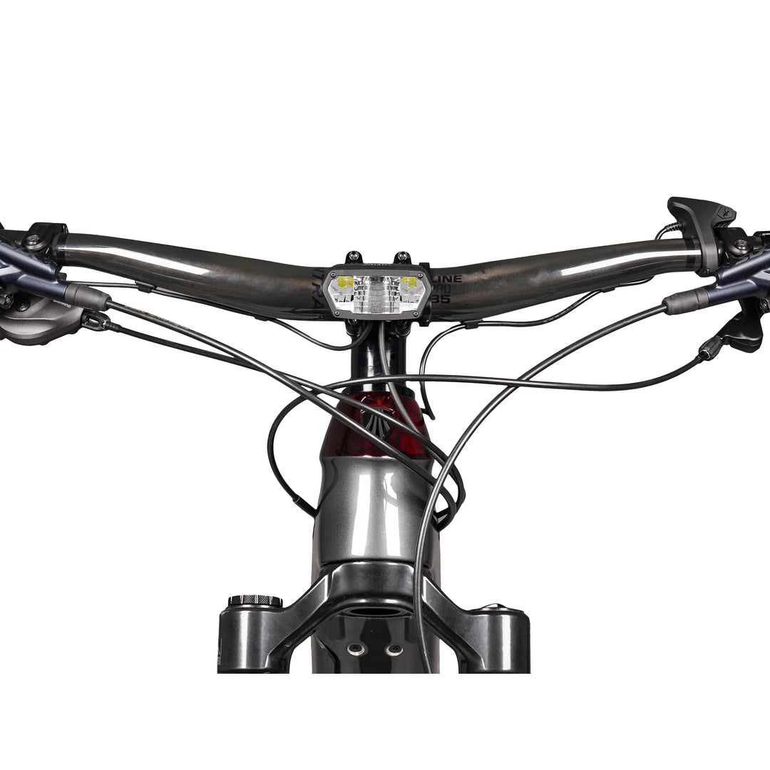 LUPINE SL MiniMax F für E-Bikes