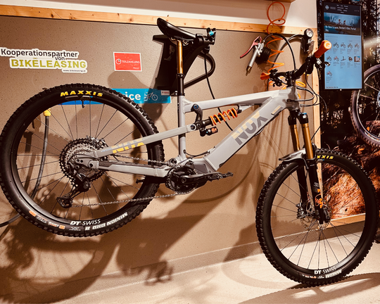 (e)MTB Service "BETTER RIDES" | Standard-Service