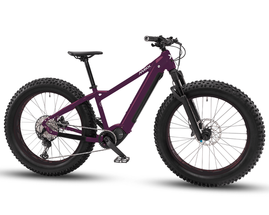 MAXX JAGAMOASTA ELS | Fatbike