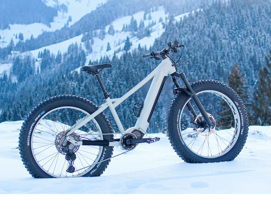 MAXX JAGAMOASTA ELS | Fatbike