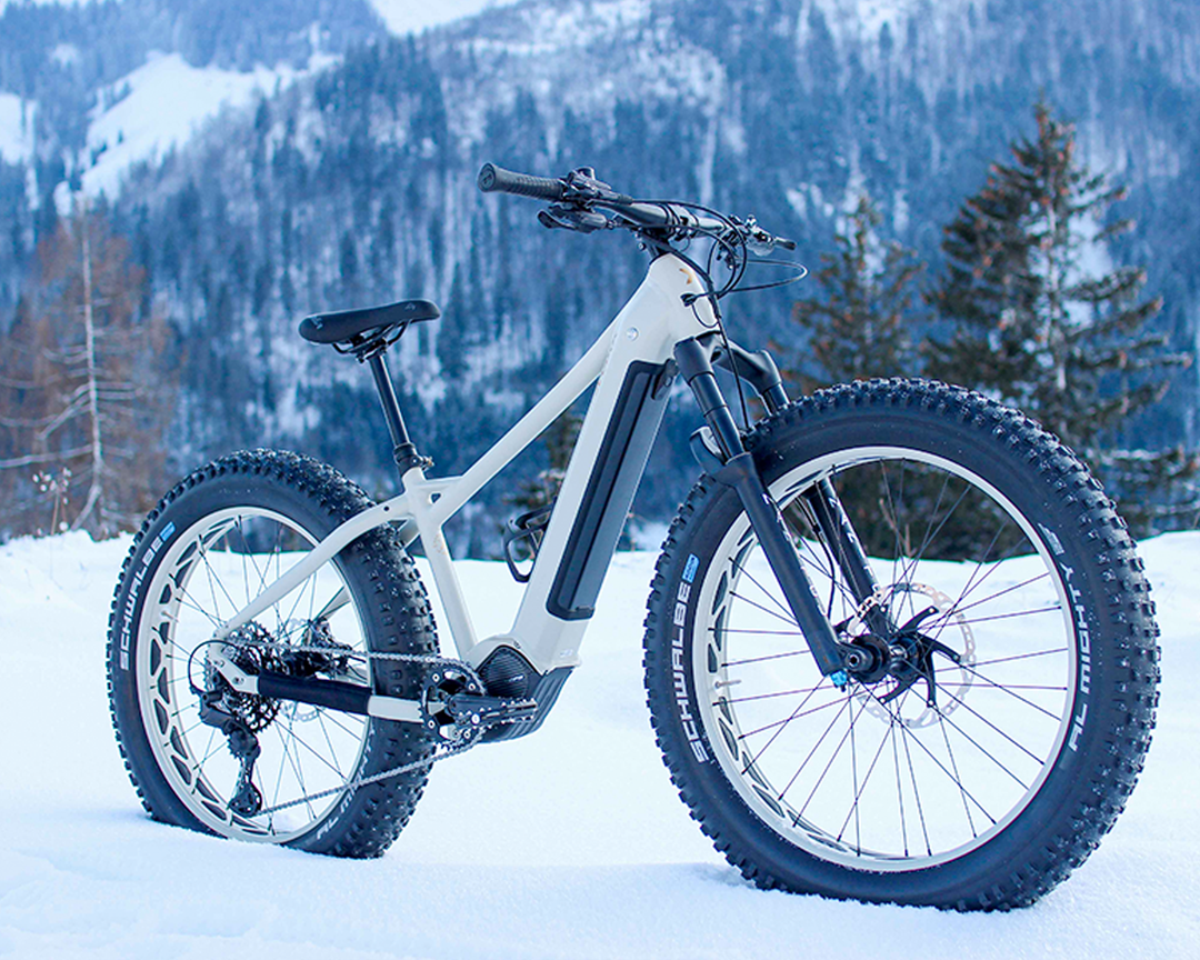 MAXX JAGAMOASTA ELS | Fatbike